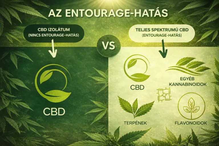Az entourage-hatás nyomában Valós élettani hatás vagy jól csomagolt marketingállítás